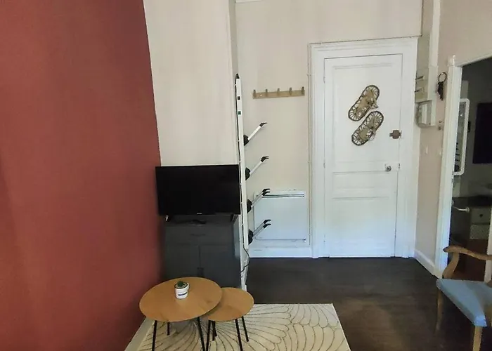 Appartement Charmant 4 Pers, Centre-Ville, Proche Telecabines Et Thermes, Avec Mezzanine Et Parking. - Fr-1-234-271